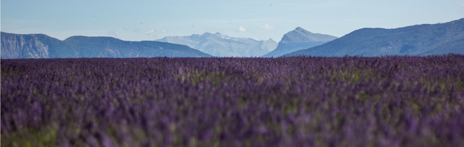 普罗旺斯 - 游览法国其他地区