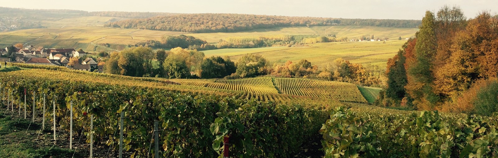Tours 香槟 - 勃艮第 - 法国多个地区 - 从巴黎出发的多日游