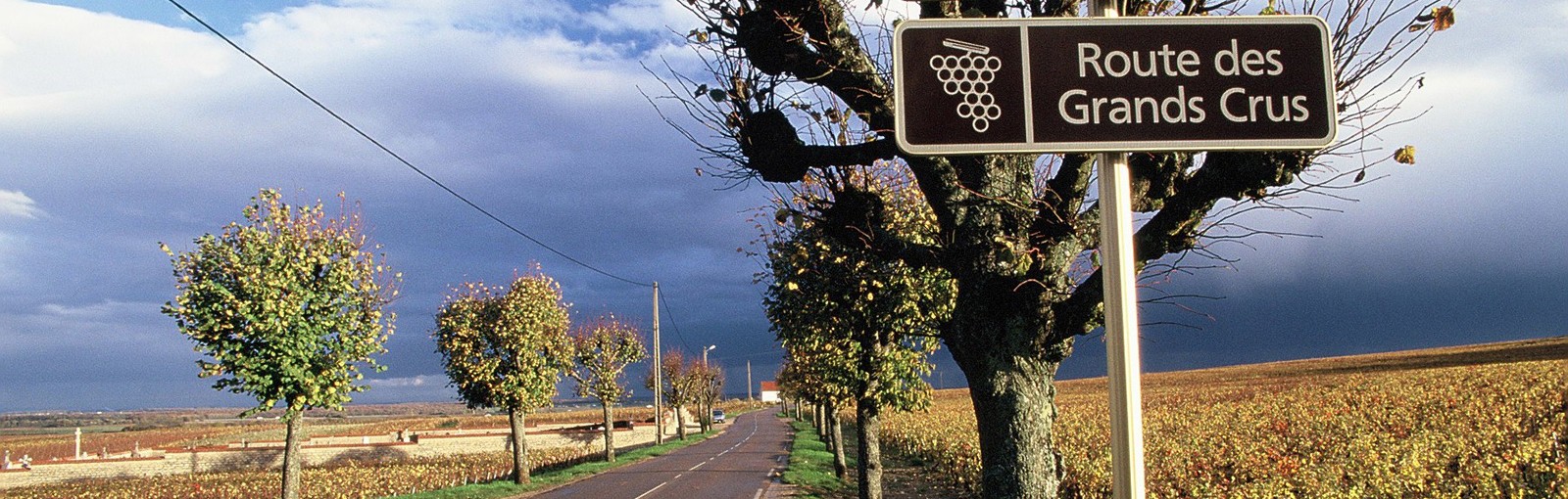 Tours 勃艮第 - 一日游 - 从巴黎出发的一日游