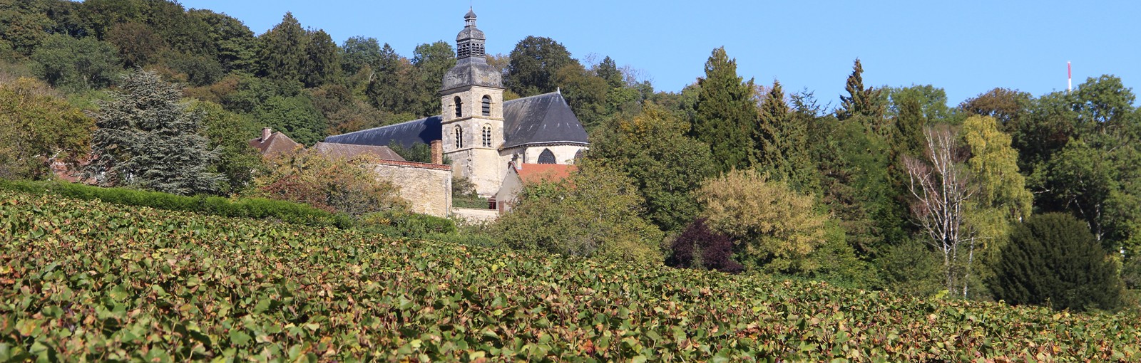 Tours 兰斯-香槟地区 - 一日游 - 从巴黎出发的一日游