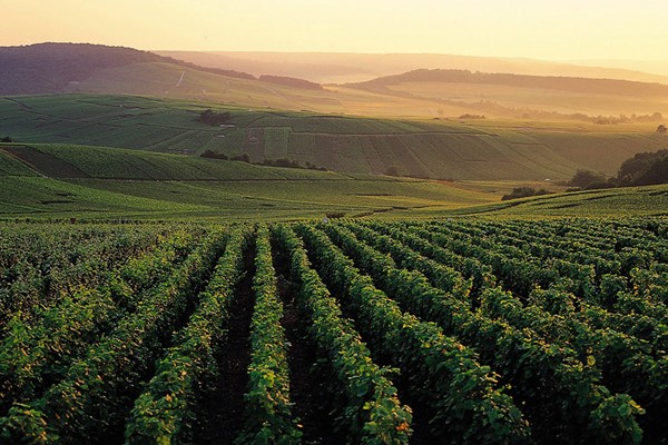 兰斯-香槟地区 - 一日游 - 从巴黎出发的一日游