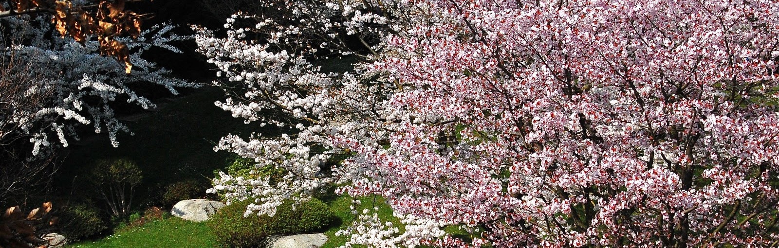 Tours 布洛涅-比扬古三十年代博物馆 - 半日游 - 从巴黎出发的一日游