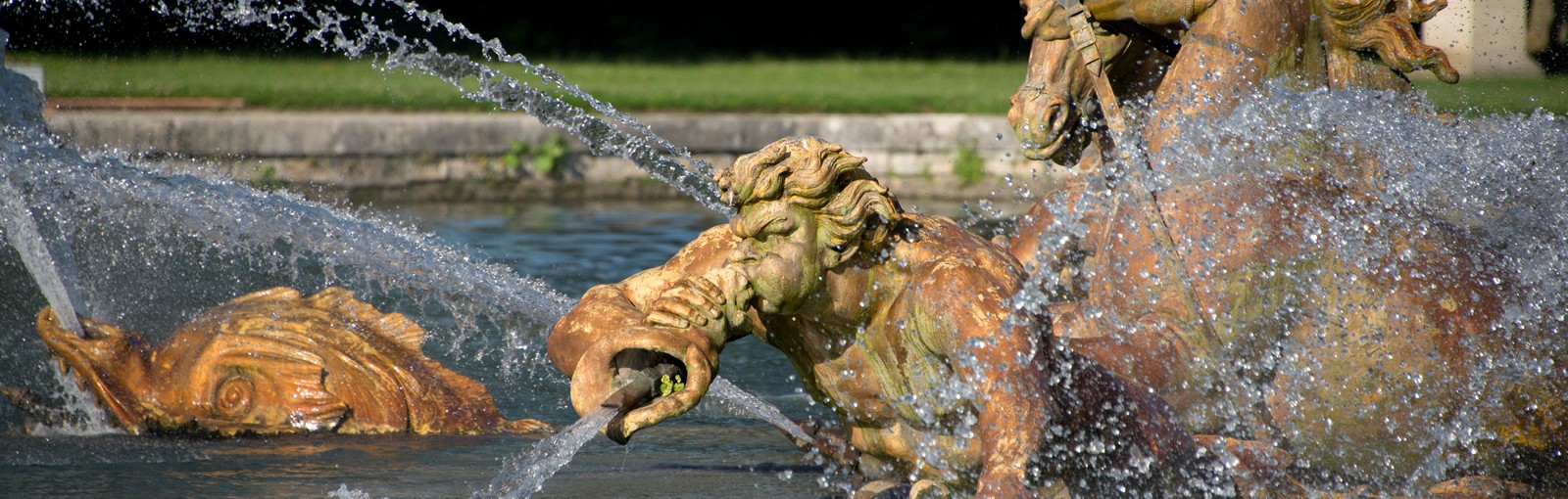 Tours 凡尔赛 - 半日游 - 从巴黎出发的一日游